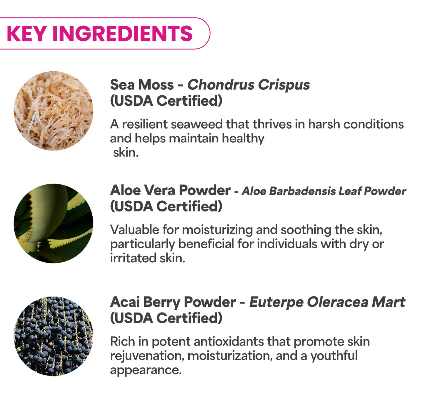 Wildcrafted Sea Moss | Professional Hydrojelly® Mask
