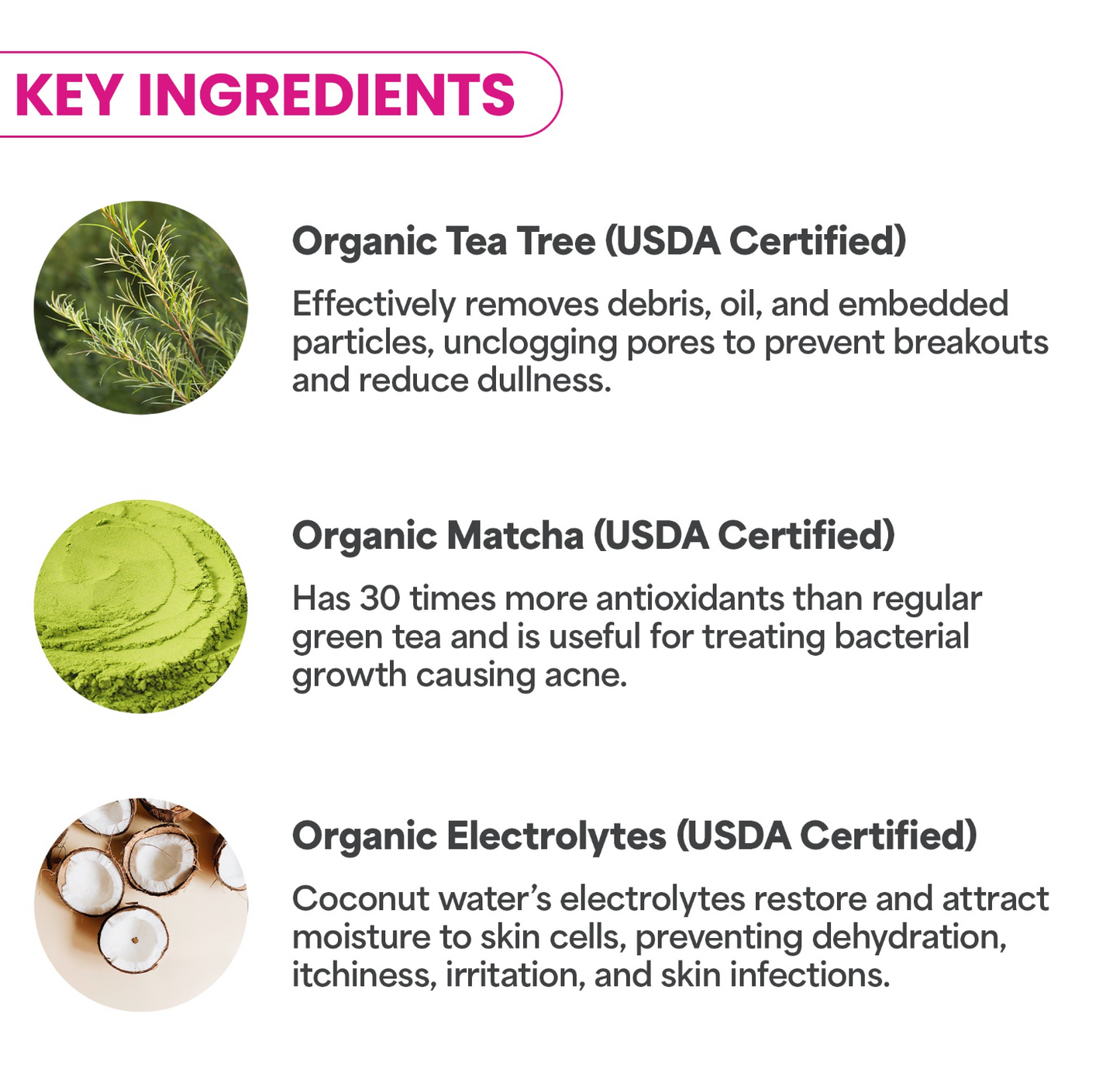 Green Tea Tree | Professional Hydrojelly® Mask