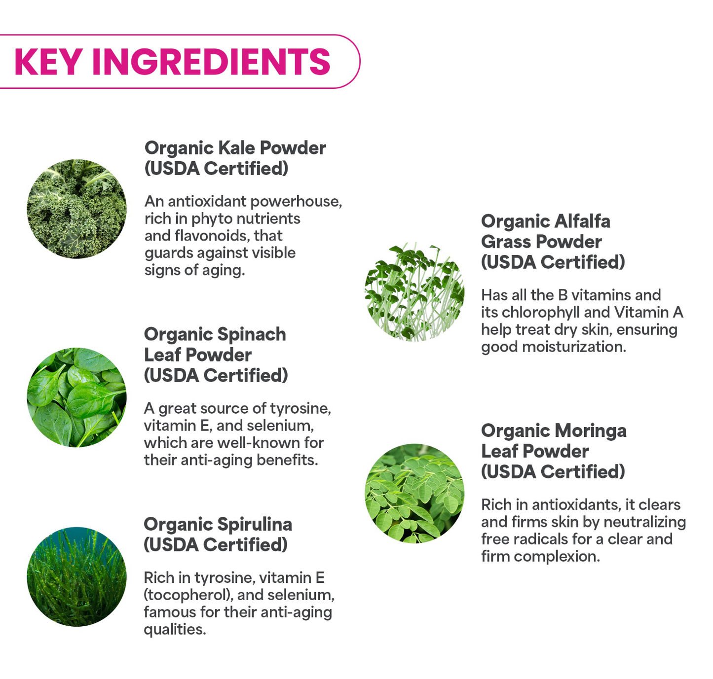 Super Greens Strength | Professional Hydrojelly® Mask