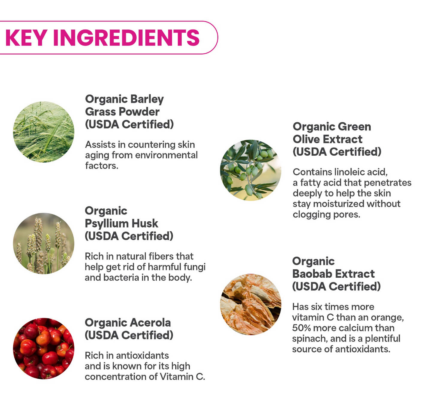 Super Greens Strength | Professional Hydrojelly® Mask